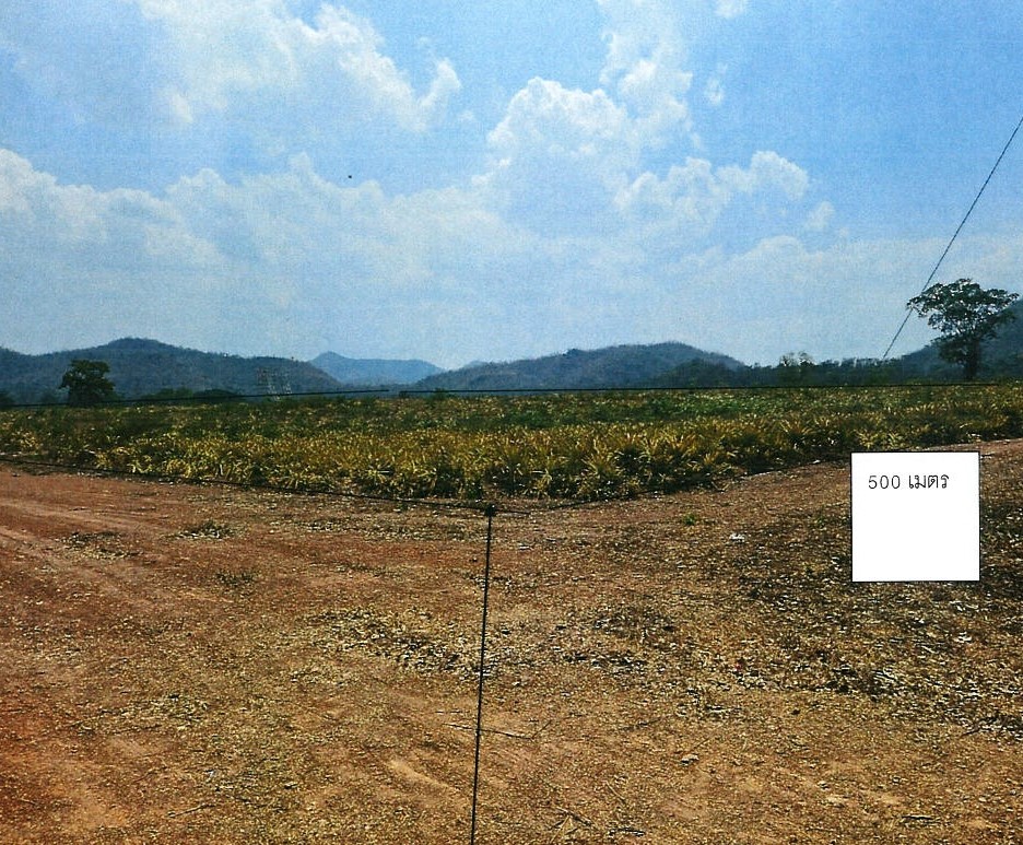 ขายทอดตลาด ที่ดินว่างเปล่า ต.แก่งกระจาน อ.แก่งกระจาน จ.เพชรบุรี