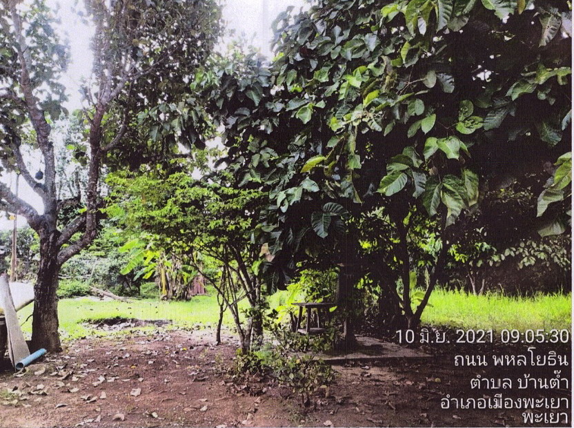 ขายทอดตลาด ที่ดินว่างเปล่า ต.บ้านต๊ำ อ.เมืองพะเยา จ.พะเยา