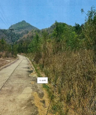 รูปทรัพย์ 2