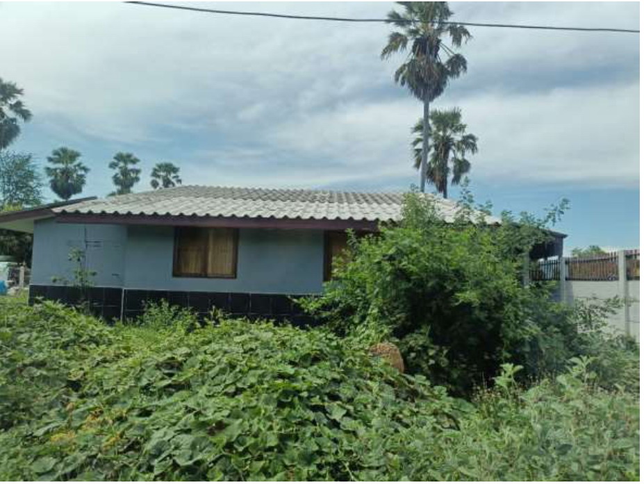 ขายทอดตลาด ที่ดินพร้อมสิ่งปลูกสร้าง ต.หนองขนาน อ.เมืองเพชรบุรี จ.เพชรบุรี