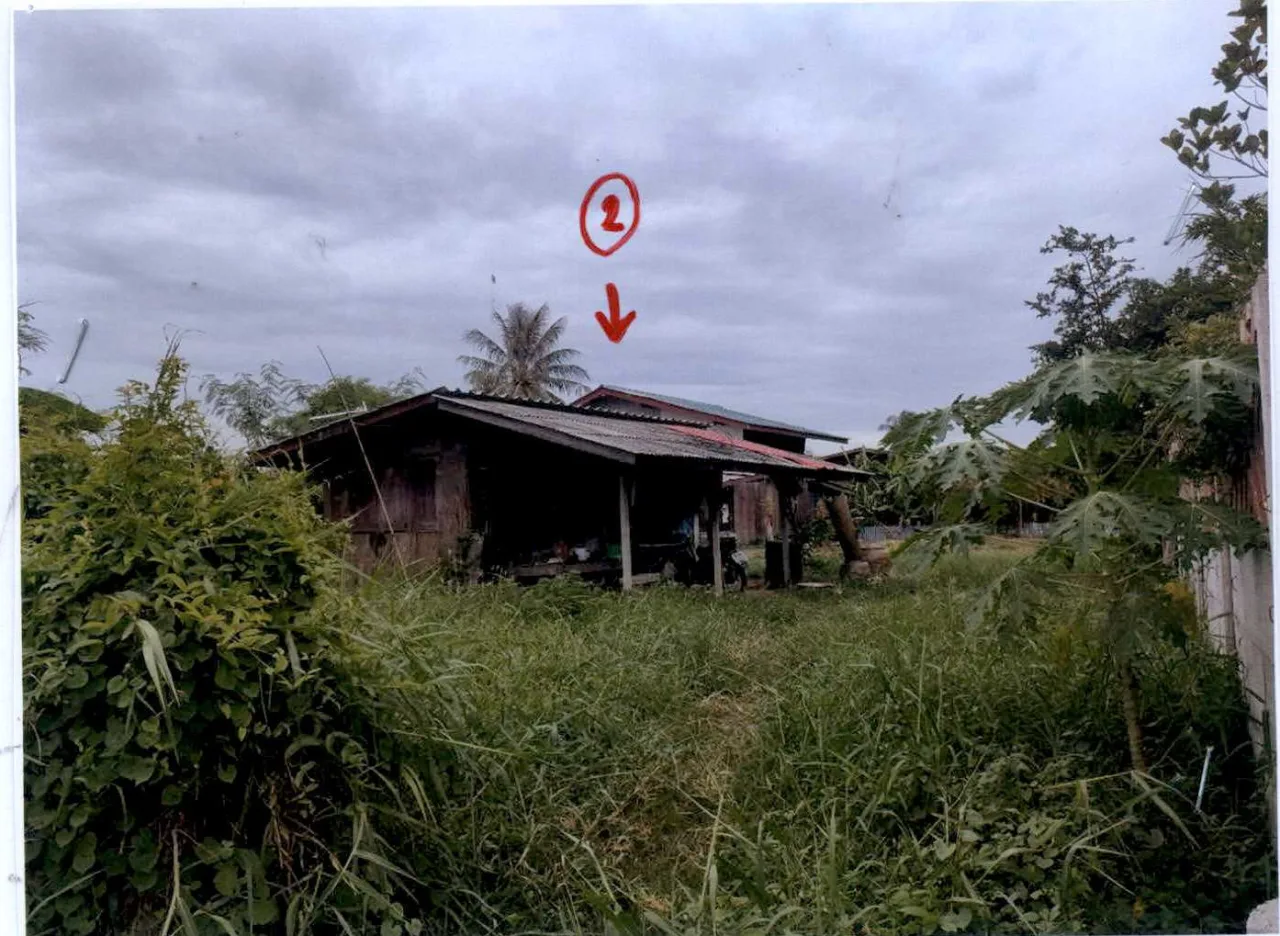 ขายทอดตลาด ที่ดินพร้อมสิ่งปลูกสร้าง ต.หนองปรง อ.เขาย้อย จ.เพชรบุรี