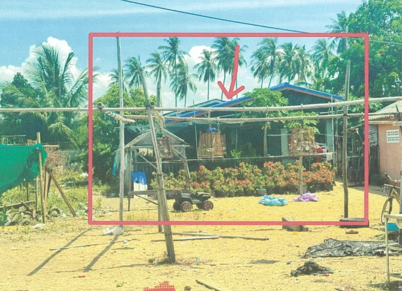 ขายทอดตลาด ที่ดินพร้อมสิ่งปลูกสร้าง ต.ปะเสยะวอ อ.สายบุรี จ.ปัตตานี