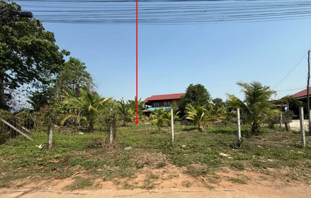 ขายทอดตลาด ที่ดินว่างเปล่า ต.เจริญราษฎร์ อ.แม่ใจ จ.พะเยา