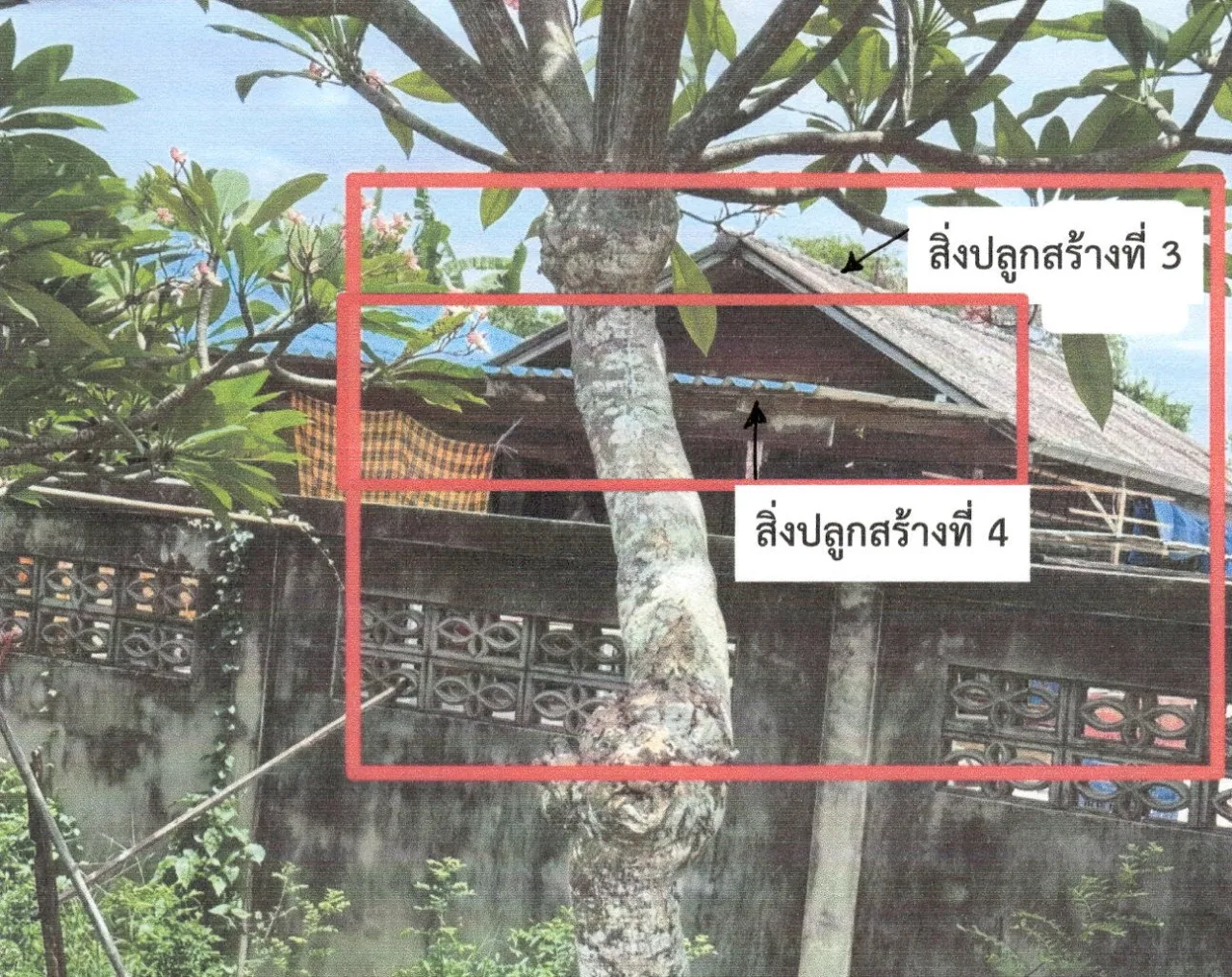 ขายทอดตลาด ที่ดินพร้อมสิ่งปลูกสร้าง ต.ท่าเสน อ.บ้านลาด จ.เพชรบุรี