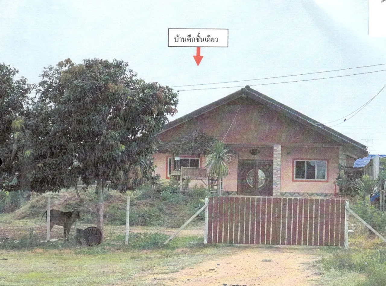 ขายทอดตลาด ที่ดินพร้อมสิ่งปลูกสร้าง ต.ท่าแลง อ.ท่ายาง จ.เพชรบุรี