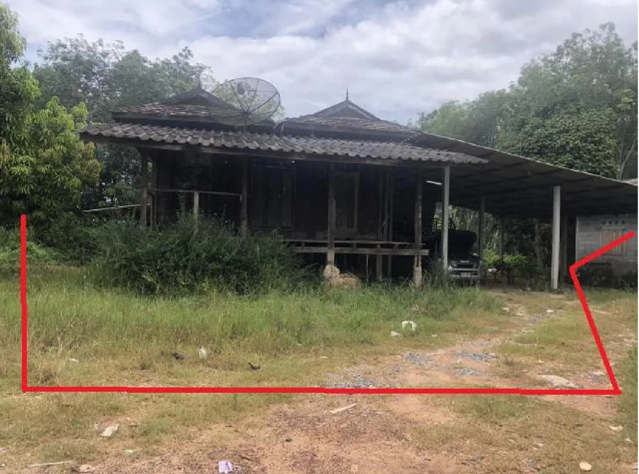 ขายทอดตลาด ที่ดินพร้อมสิ่งปลูกสร้าง ต.โคกโพธิ์ อ.โคกโพธิ์ จ.ปัตตานี
