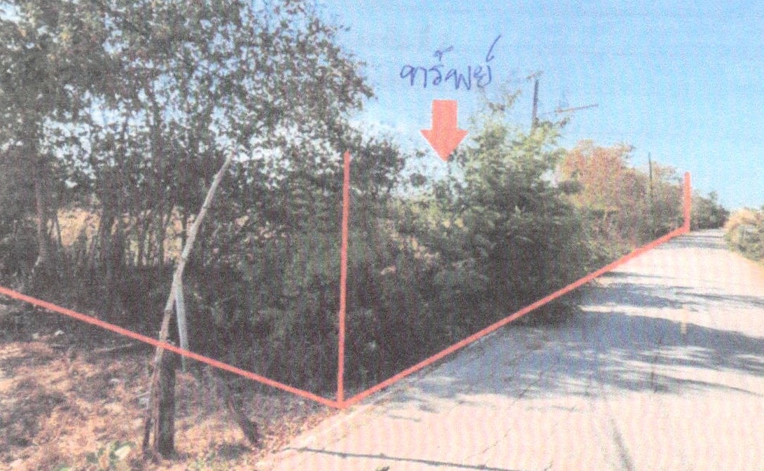ขายทอดตลาด ที่ดินว่างเปล่า ต.หนองศาลา (หนองจอก) อ.ชะอำ จ.เพชรบุรี