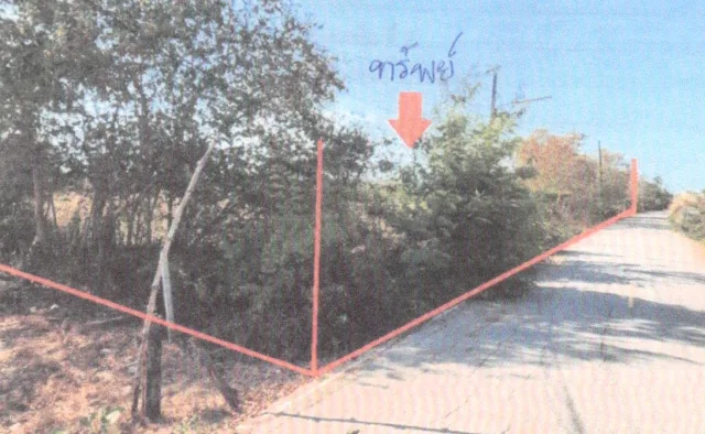 ขายทอดตลาด ที่ดินว่างเปล่า ต.หนองศาลา (หนองจอก) อ.ชะอำ จ.เพชรบุรี