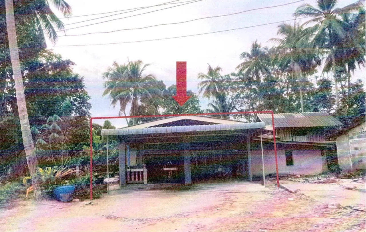 ขายทอดตลาด ที่ดินพร้อมสิ่งปลูกสร้าง ต.พิเทน อ.ทุ่งยางแดง จ.ปัตตานี