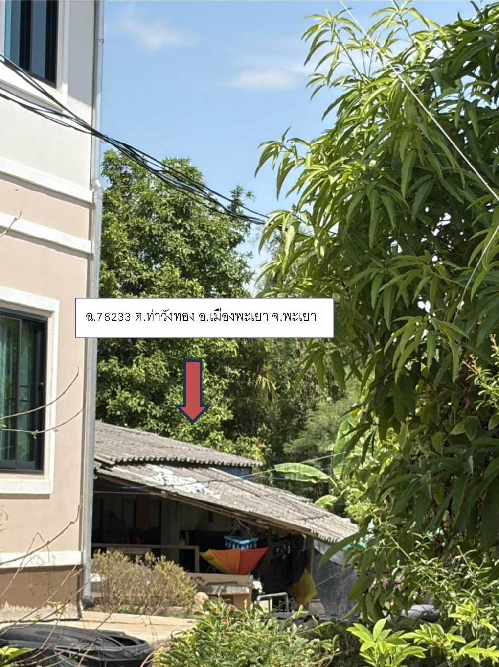ขายทอดตลาด ที่ดินพร้อมสิ่งปลูกสร้าง ต.ท่าวังทอง อ.เมืองพะเยา จ.พะเยา