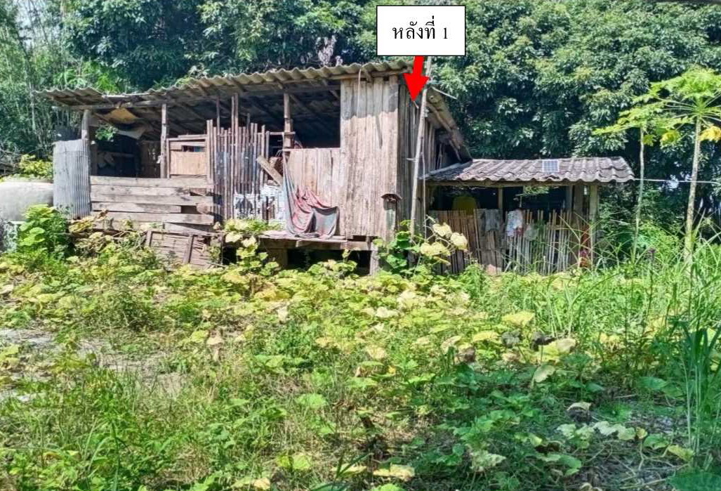 ขายทอดตลาด ที่ดินพร้อมสิ่งปลูกสร้าง ต.ห้วยแก้ว อ.ภูกามยาว จ.พะเยา