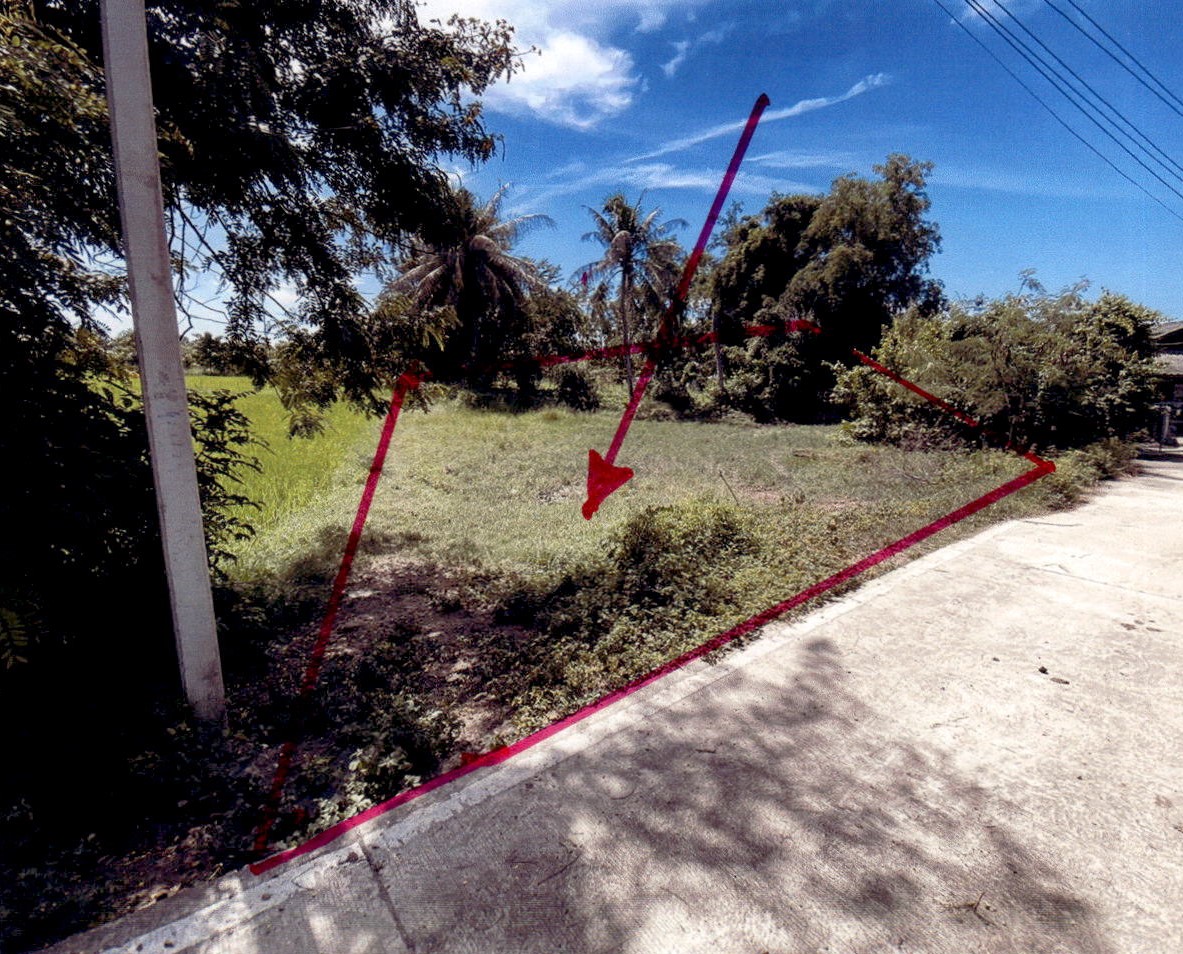ขายทอดตลาด ที่ดินว่างเปล่า ต.หนองขนาน อ.เมืองเพชรบุรี จ.เพชรบุรี