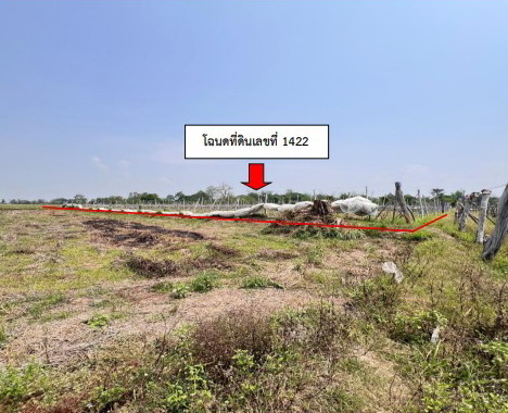 ขายทอดตลาด ที่ดินว่างเปล่า ต.หนองช้าง อ.สามชัย จ.กาฬสินธุ์