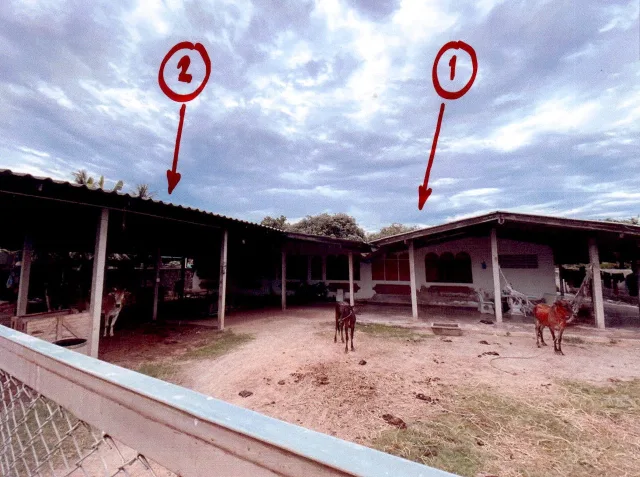 ขายทอดตลาด ที่ดินพร้อมสิ่งปลูกสร้าง ต.หนองจอก อ.ท่ายาง จ.เพชรบุรี