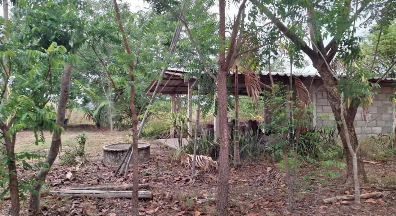 ขายทอดตลาด ที่ดินพร้อมสิ่งปลูกสร้าง ต.บุญเกิด อ.ดอกคำใต้ จ.พะเยา