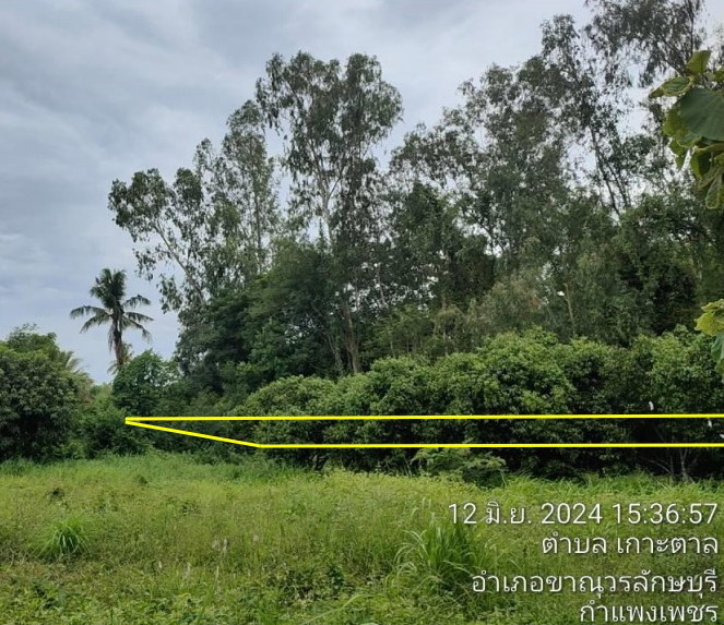 ขายทอดตลาด ที่ดินว่างเปล่า ต.เกาะตาล อ.ขาณุวรลักษบุรี จ.กำแพงเพชร