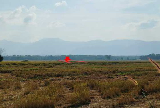 ขายทอดตลาด ที่ดินว่างเปล่า ต.บ้านใหม่ อ.เมืองพะเยา จ.พะเยา