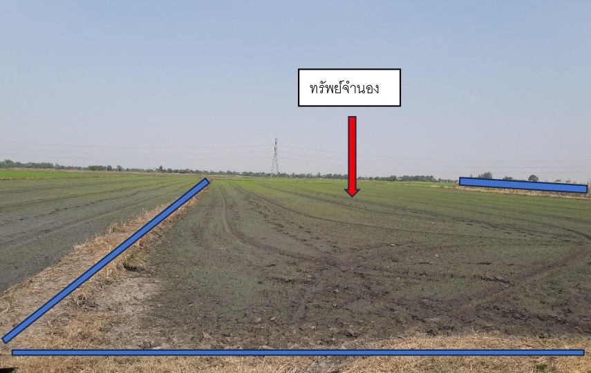 ขายทอดตลาด ที่ดินว่างเปล่า ต.ชายนา อ.เสนา จ.พระนครศรีอยุธยา