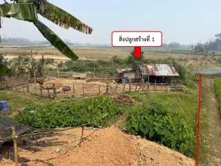 รูปทรัพย์ 1
