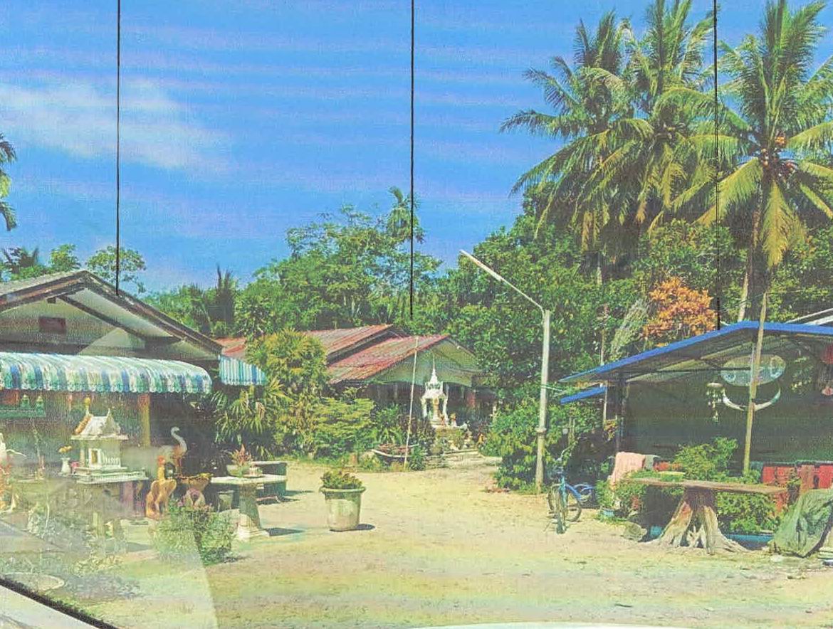 ขายทอดตลาด ที่ดินพร้อมสิ่งปลูกสร้าง ต.ยาบี อ.หนองจิก จ.ปัตตานี