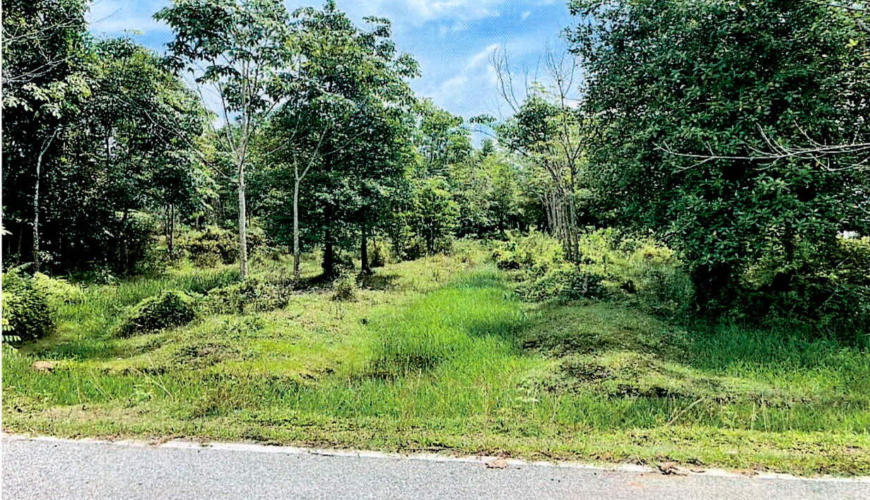 ขายทอดตลาด ที่ดินว่างเปล่า ต.ปุโละปุโย อ.หนองจิก จ.ปัตตานี