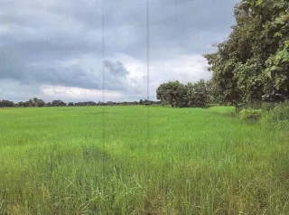 รูปทรัพย์ 2