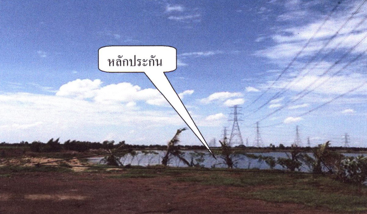 ขายทอดตลาด ที่ดินว่างเปล่า ต.สามเมือง อ.ลาดบัวหลวง จ.พระนครศรีอยุธยา