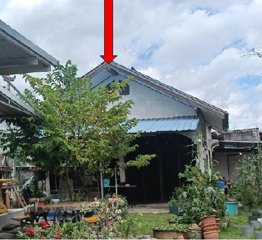 ขายทอดตลาด ที่ดินพร้อมสิ่งปลูกสร้าง ต.ท่าขุนราม อ.เมืองกำแพงเพชร จ.กำแพงเพชร