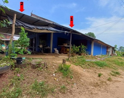 ขายทอดตลาด ที่ดินพร้อมสิ่งปลูกสร้าง ต.หนองกะท้าว อ.นครไทย จ.พิษณุโลก
