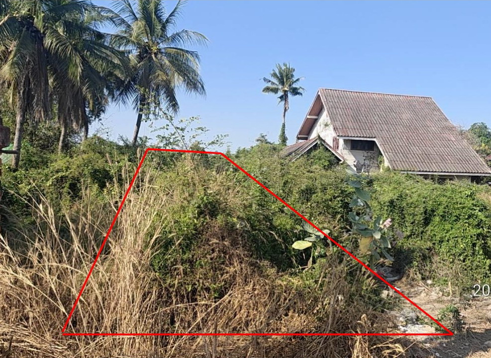 ขายทอดตลาด ที่ดินว่างเปล่า ต.คลองขลุง อ.คลองขลุง จ.กำแพงเพชร