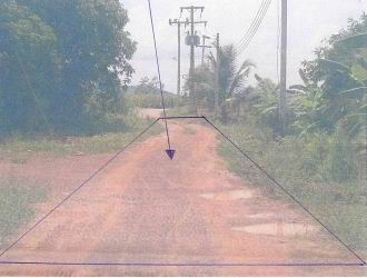 ขายทอดตลาด ที่ดินว่างเปล่า ต.ท่างาม อ.วัดโบสถ์ จ.พิษณุโลก