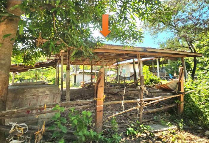ขายทอดตลาด ที่ดินพร้อมสิ่งปลูกสร้าง ต.ลานสะแก อ.พยัคฆภูมิพิสัย จ.มหาสารคาม