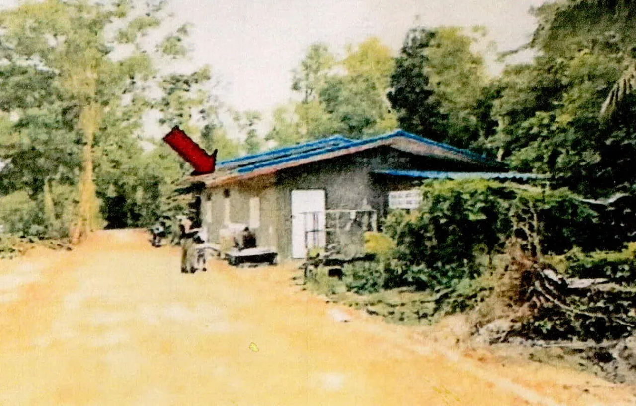 ขายทอดตลาด ที่ดินพร้อมสิ่งปลูกสร้าง ต.ยามู อ.ยะหริ่ง จ.ปัตตานี