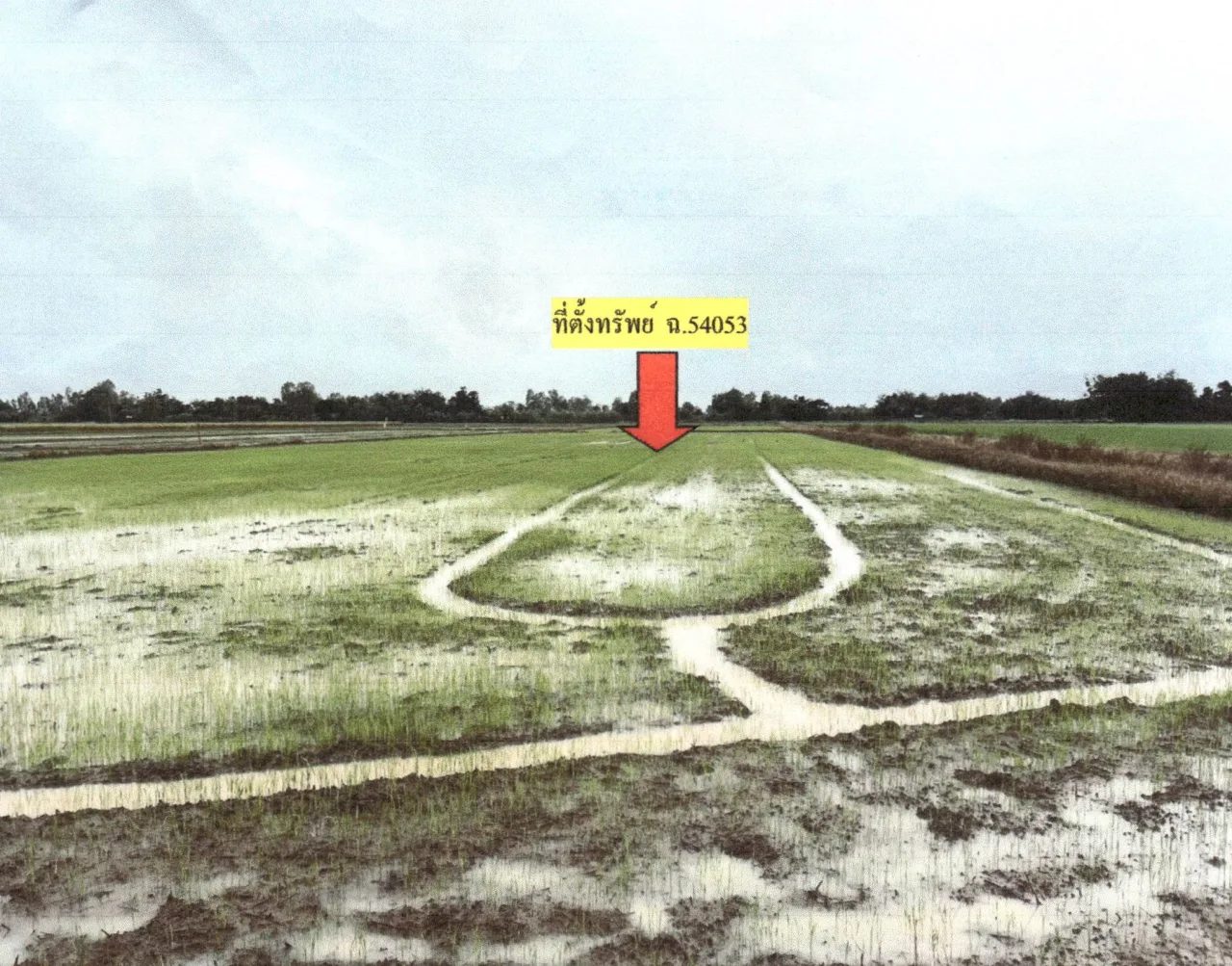 ขายทอดตลาด ที่ดินว่างเปล่า ต.หนองแขม อ.พรหมพิราม จ.พิษณุโลก