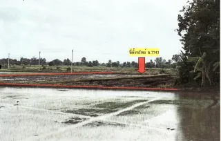 รูปทรัพย์ 2