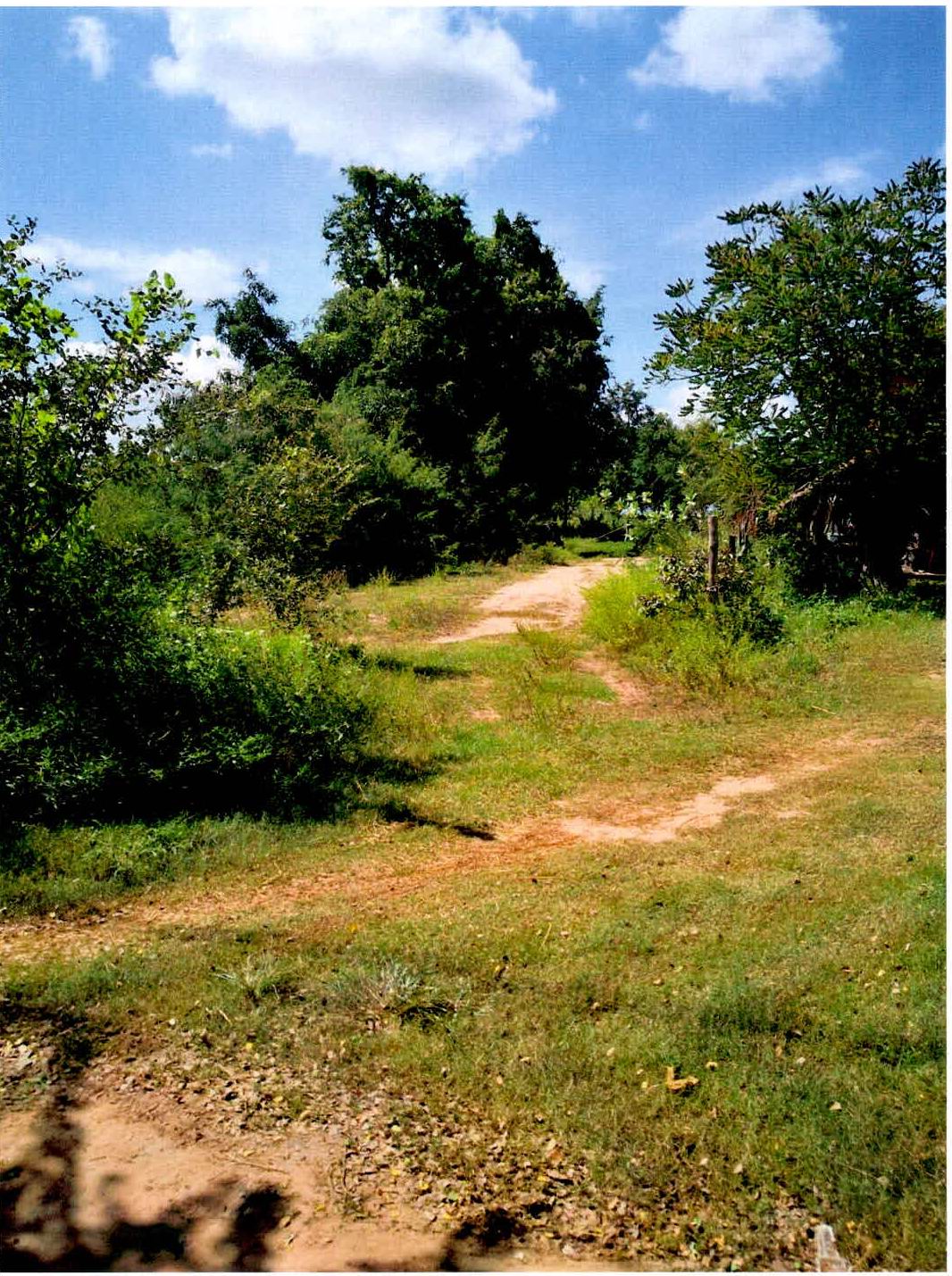 ขายทอดตลาด ที่ดินว่างเปล่า ต.หนองสิม อ.บรบือ จ.มหาสารคาม