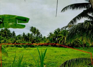 รูปทรัพย์ 2
