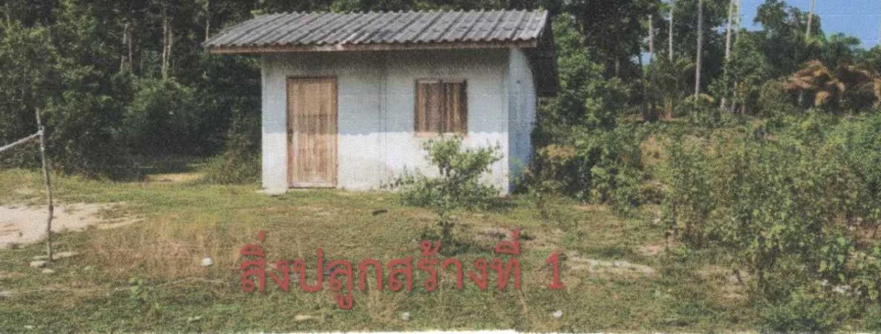 ขายทอดตลาด ที่ดินพร้อมสิ่งปลูกสร้าง ต.ดอนทราย อ.ไม้แก่น จ.ปัตตานี