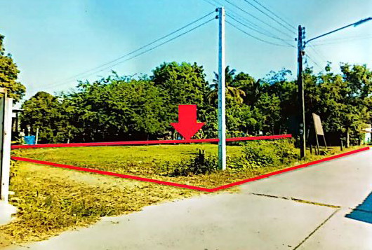 ขายทอดตลาด ที่ดินว่างเปล่า ต.หนองกุง อ.แกดำ จ.มหาสารคาม