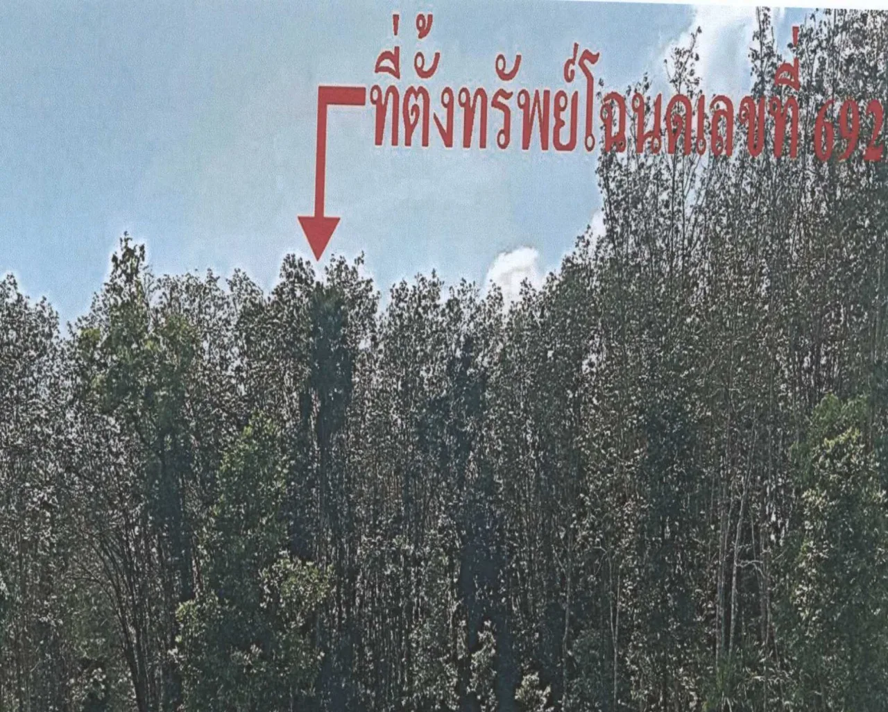 ขายทอดตลาด ที่ดินว่างเปล่า ต.ตะโละไกรทอง อ.ไม้แก่น จ.ปัตตานี