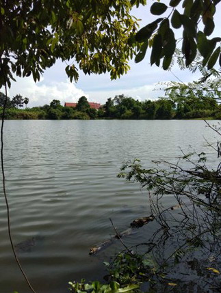 ขายทอดตลาด ที่ดินว่างเปล่า ต.บางบาล (บ้านผีมด) อ.บางบาล(เสนาใน) จ.พระนครศรีอยุธยา