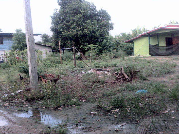 ขายทอดตลาด ที่ดินว่างเปล่า ต.เทพนิมิตร อ.บึงสามัคคี จ.กำแพงเพชร