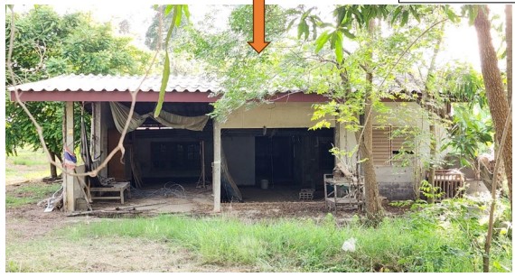 ขายทอดตลาด ที่ดินพร้อมสิ่งปลูกสร้าง ต.วังชะโอน อ.บึงสามัคคี จ.กำแพงเพชร