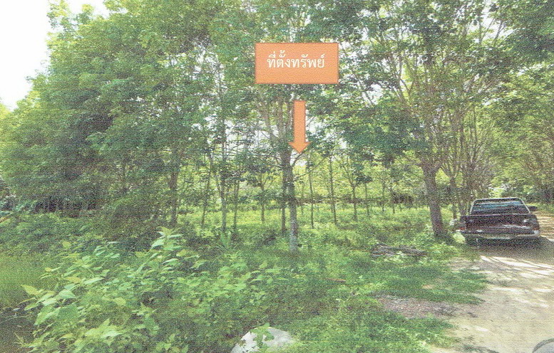 ขายทอดตลาด ที่ดินว่างเปล่า ต.สาคอใต้ อ.มายอ จ.ปัตตานี