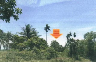 รูปทรัพย์ 2