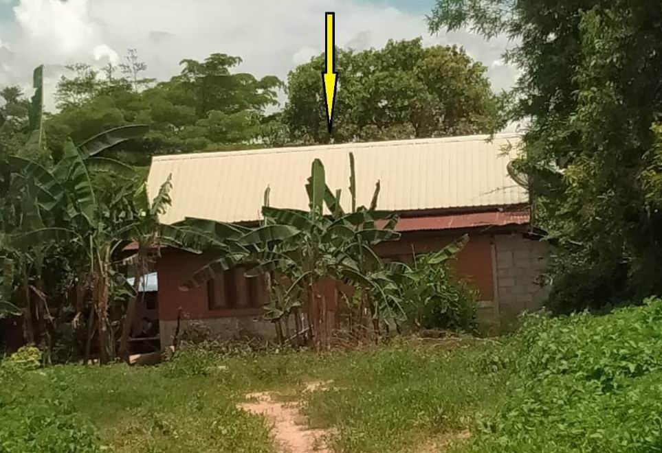 ขายทอดตลาด ที่ดินพร้อมสิ่งปลูกสร้าง ต.นาสีนวน อ.กันทรวิชัย จ.มหาสารคาม