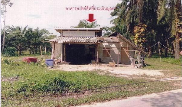ขายทอดตลาด ที่ดินพร้อมสิ่งปลูกสร้าง ต.ทรายขาว อ.คลองท่อม จ.กระบี่