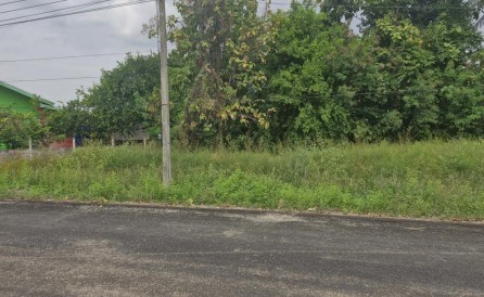 ขายทอดตลาด ที่ดินว่างเปล่า ต.ทับยายเชียง อ.พรหมพิราม จ.พิษณุโลก