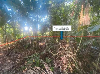 รูปทรัพย์ 1