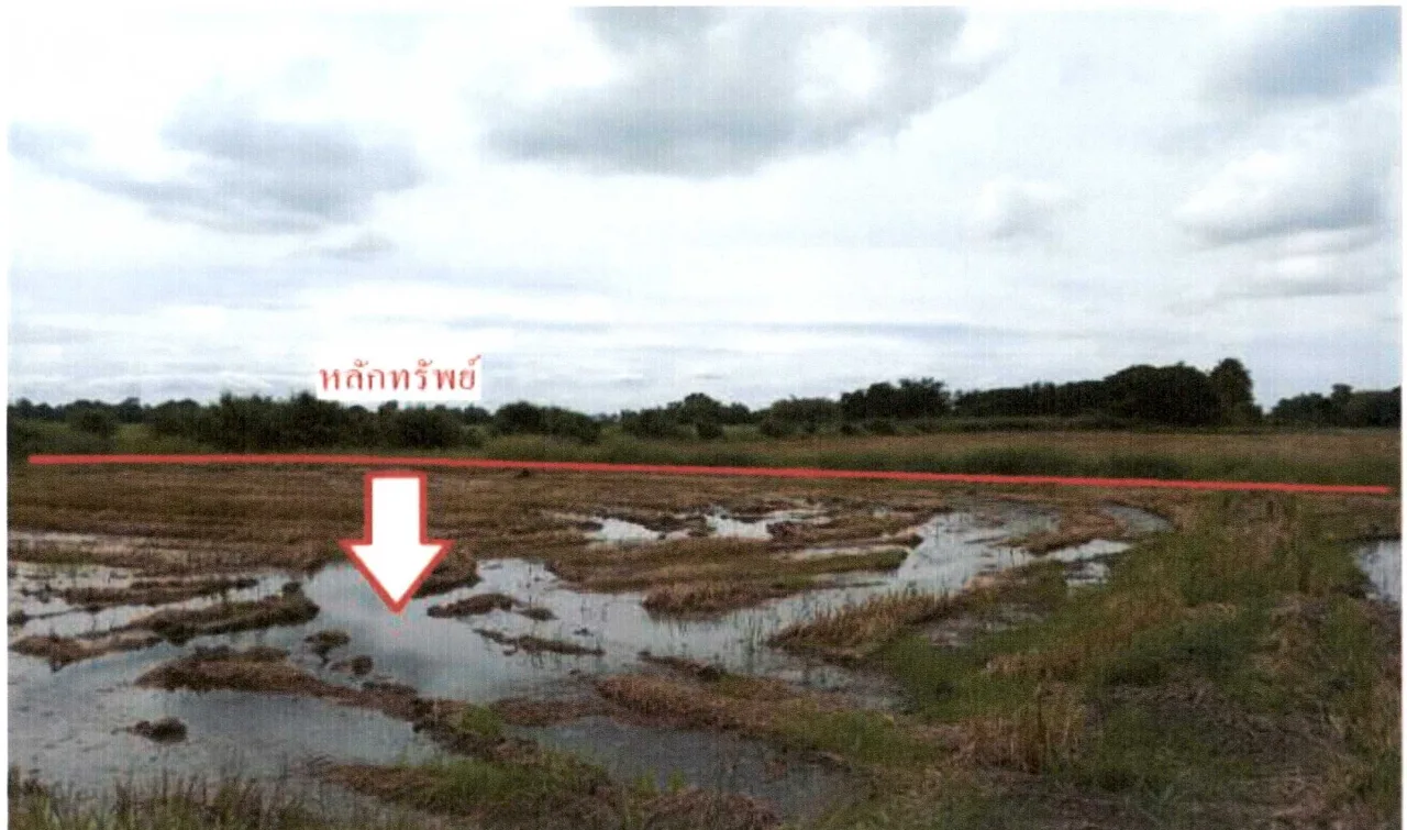ขายทอดตลาด ที่ดินว่างเปล่า ต.สิงหนาท อ.ลาดบัวหลวง จ.พระนครศรีอยุธยา